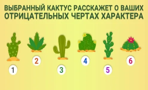 Выберите кактус — и раскройте вашу темную сторону: кто вы на самом деле — диктатор или болтун?