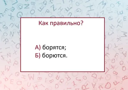 «Борятся» или «борются» — какое написание является верным? Без словаря справятся уникумы — сложный тест по русскому языку
