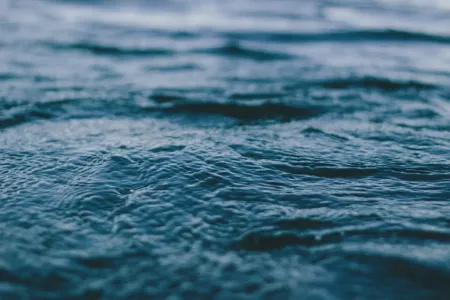 Самые опасные обитатели Каспийского моря: 4 морских жителя, которых людям лучше не встречать