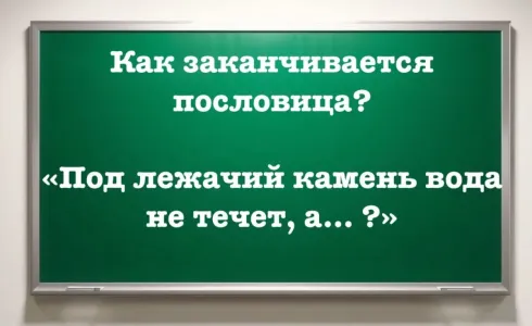 Неожиданная концовка популярной пословицы удивит — но попробуйте сами вспомнить: «Под лежачий камень вода не течет, а… ?»