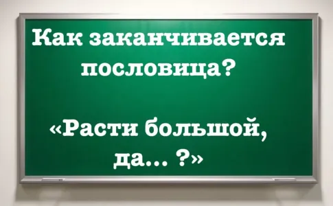 Каждый день козыряете пословицей, а целиком ее не знаете: «Расти большой, да… ?» Если сможете закончить фразу — вы знаток русского языка