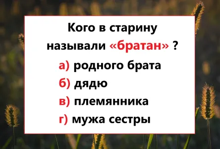 Кого в старину называли «братан» — кто угадает, достоин медали по русскому: ваша версия?