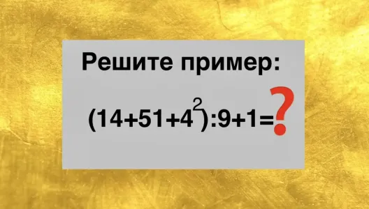 «Квест» для тех, чей «котелок» в 88 «варит», как в 18: чему равно «(14+51+4²):9+1»?