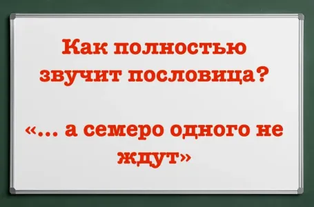 Начало поговорки знают только 3% населения — блесните умом, дополнив фразу: «…семеро одного не ждут»