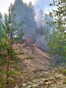 Два лесных пожара произошли в Мурманской области за прошедшие сутки