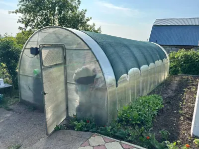 Закрывать ли теплицу на ночь — томатовод дал точный ответ: главный спор огородников разрешён