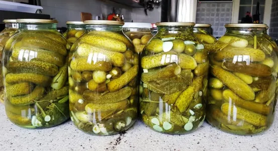 Соленые огурцы без уксуса и сахара — и даже без подвала: вкусные и хрустящие всю зиму, рассол — песня