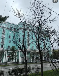 Гирлянды с поврежденных деревьев в Мурманске снимут до 15 августа