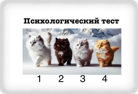 Кого из котят приютите? Ответ поможет найти «тараканов», которые мешают вашему счастью — психологический тест