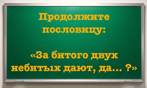 Финал пословицы полностью изменил смысл: «За битого двух небитых дают, да… ?» Заставьте мозг работать — продолжите фразу