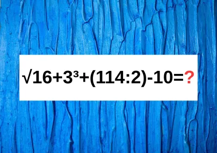 Решите пример «√16+3³+(114:2)-10» и почувствуйте себя «Архимедом»: справитесь за 12 секунд? Калькулятор не трогаем