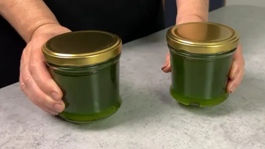 Зонтики укропа не выбрасываю — готовлю пряное масло на зиму: в миллион раз вкуснее магазинного