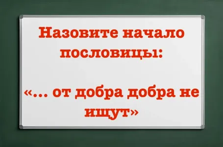 Все используют конец пословицы, а начало — не знают: «…от добра добра не ищут» — полный вариант назовут только люди с IQ > 170