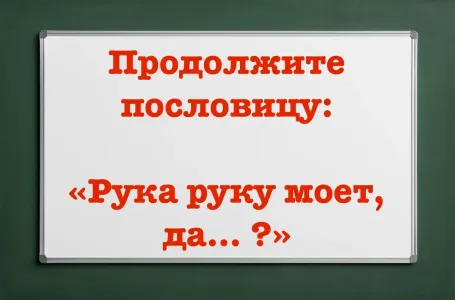 Окончание пословицы вас удивит — напрягите серое вещество и попробуйте продолжить фразу сами: «Рука руку моет, да… ?»