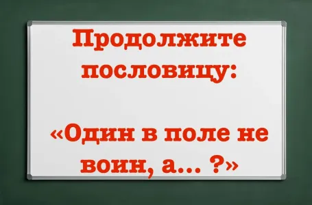 Козыряете пословицей часто, а полностью ее — не знаете: фразу «Один в поле не воин, а … ?» продолжат только знатоки русского языка