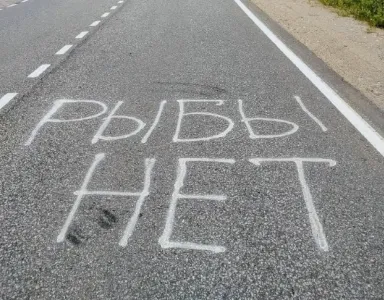 «Рыбы нет»: необычная надпись появилась на дороге между Кандалакшей и Умбой в Мурманской области
