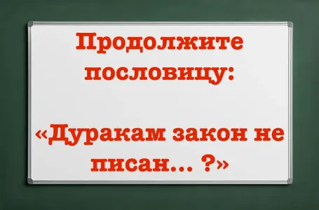 Полный вариант пословицы известен только «ботаникам» — если лучше всех учились в школе, сможете продолжить фразу: «Дуракам закон не писан… ?»