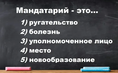 Что значит слово «мандатарий»: придется звать филологов, а не то покраснеете — полезный тест по русскому языку