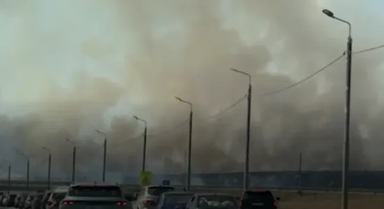 В Крыму масштабный пожар, клубы дыма заволокли трассу: почти нулевая видимость привела к массовым ДТП