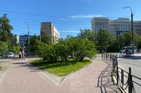 Синоптики предупредили жителей Мурманской области о сильной жаре: до +33 и это только начало