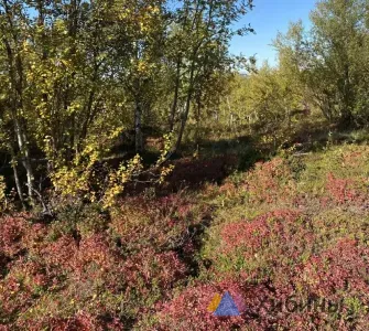 В прошлом году расходы на охрану окружающей среды в Мурманской области выросли почти до 8 млрд рублей