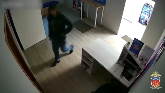 Бывший сотрудник маркетплейса в Мурманске попытался украсть со склада телефон