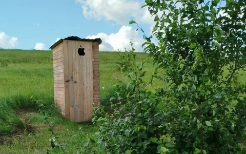 Заливаю выгребную яму и себе не верю — запах и жидкость быстро уходят: важно правильно смешать лимонную кислоту