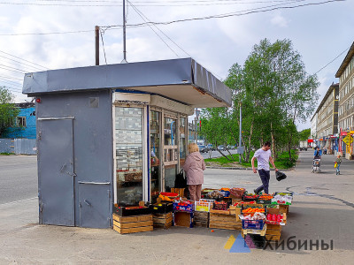 В Мурманске поймали рецидивиста, укравшего деньги из пяти магазинов
