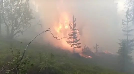 В Мурманской области из-за удара молнии загорелся лес