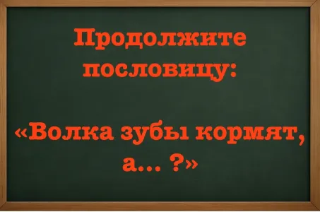 Только «уникумы» вспомнят пословицу целиком: «Волка зубы кормят, а… ?» — попытайтесь пройти сложный тест по русскому языку