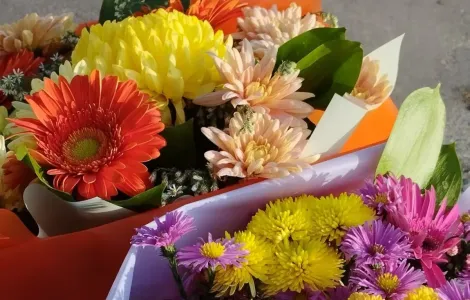 Криминальный букет — в Апатитах Мурманской области раскрыли кражу денег из цветочного магазина