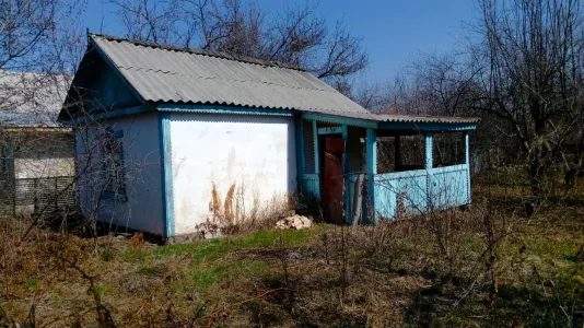 Скосил траву — сделал фото: юрист объяснил, зачем россиянам нужно фиксировать состояние земельных участков