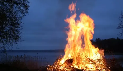Продолжаем нарушать — 65 нарушителей были выявлены в лесах Мурманской области