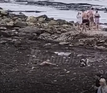 Бурные ливни и паводки превратили Черное море в грязную лужу: в воду не зайти, но туристов это не останавливает — отдыхающие лезут в море с риском для жизни