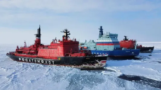 В Мурманской области белый медведь подошел вплотную к ледоколам «Росатомфлота»