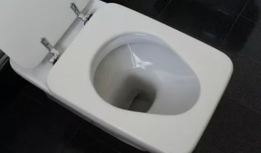 Прячу спичечный коробок за унитазом — и в туалете всегда приятно пахнет: работает лучше дорогих освежителей