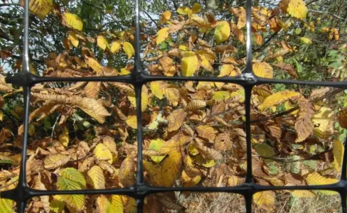 На бетон и профлист не трачусь, натянул забор без фундамента — не нарадуюсь: крепкий и красивый