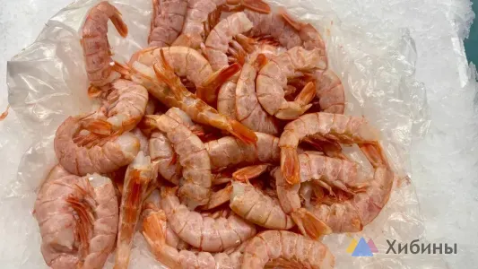 В Китай из Мурманской области направили более 7 тысяч тонн морепродуктов