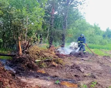 В Кандалакшском районе Мурманской области горел лес