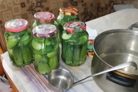 Мариную огурцы без «заморочек» со стерилизацией — рецепт просят все, кто попробует
