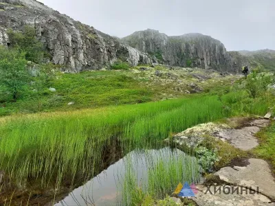 «Тепло, но не жарко»: жители Мурманска радуются долгожданной прохладе