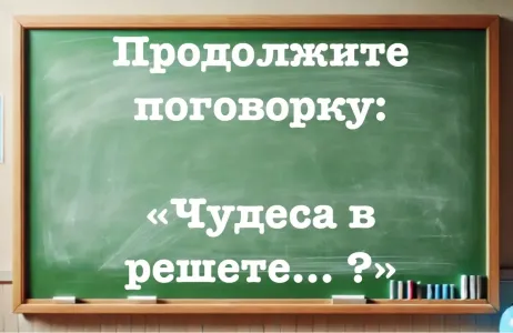 Финал пословицы знают только люди с IQ > 170 — продолжите фразу: «Чудеса в решете… ?»