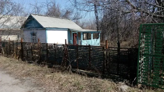 Как не превратить дачный дом в болото: спасти жильё от сырости и плесени можно ещё до наступления холодов