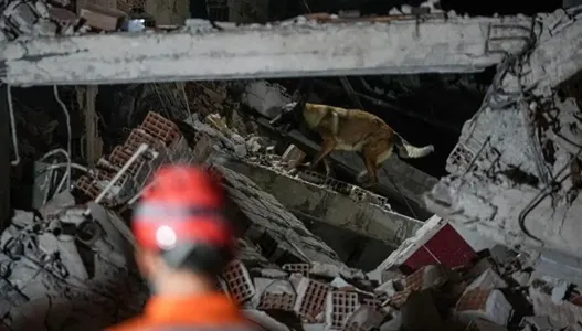 Подземные толчки в Турции: землетрясение обрушило 16 зданий — есть жертвы