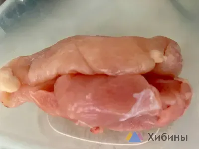 Сотрудники детсадов в Апатитах Мурманской области подтверждали приёмку продуктов спустя несколько суток после их поступления