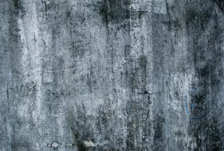 Какой материал сделает бетон непроницаемым: 10% порошка в цемент — и фундамент не треснет даже в потоп
