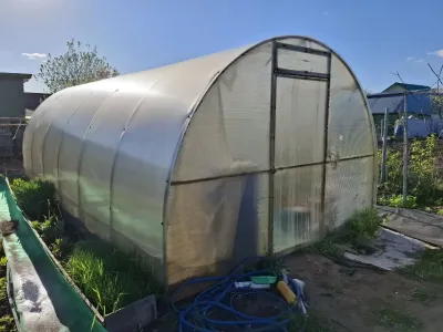 Поликарбонат за 50 тысяч или пленка за 500 рублей: какое покрытие для теплицы выбрать и не пожалеть через год