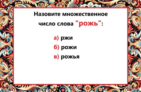 Опозориться легко даже гуру языка: как будет слово «рожь» во множественном числе — тест по русскому