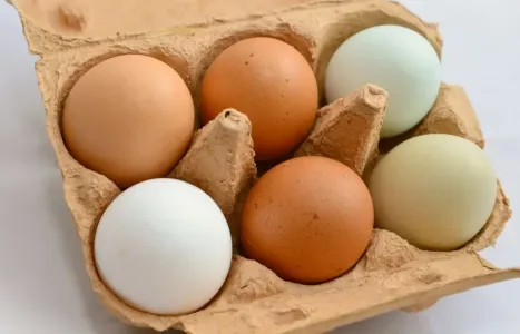 Как не «напороться» на тухлое яйцо: правила выбора и хранения продукта в холодильнике — мнение диетолога