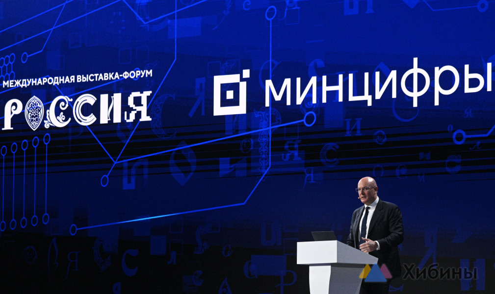 Доля массовых социально значимых онлайн-услуг в России достигла 100%